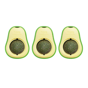 Abacate Catnip Erva Natural - Tartaruga Shop